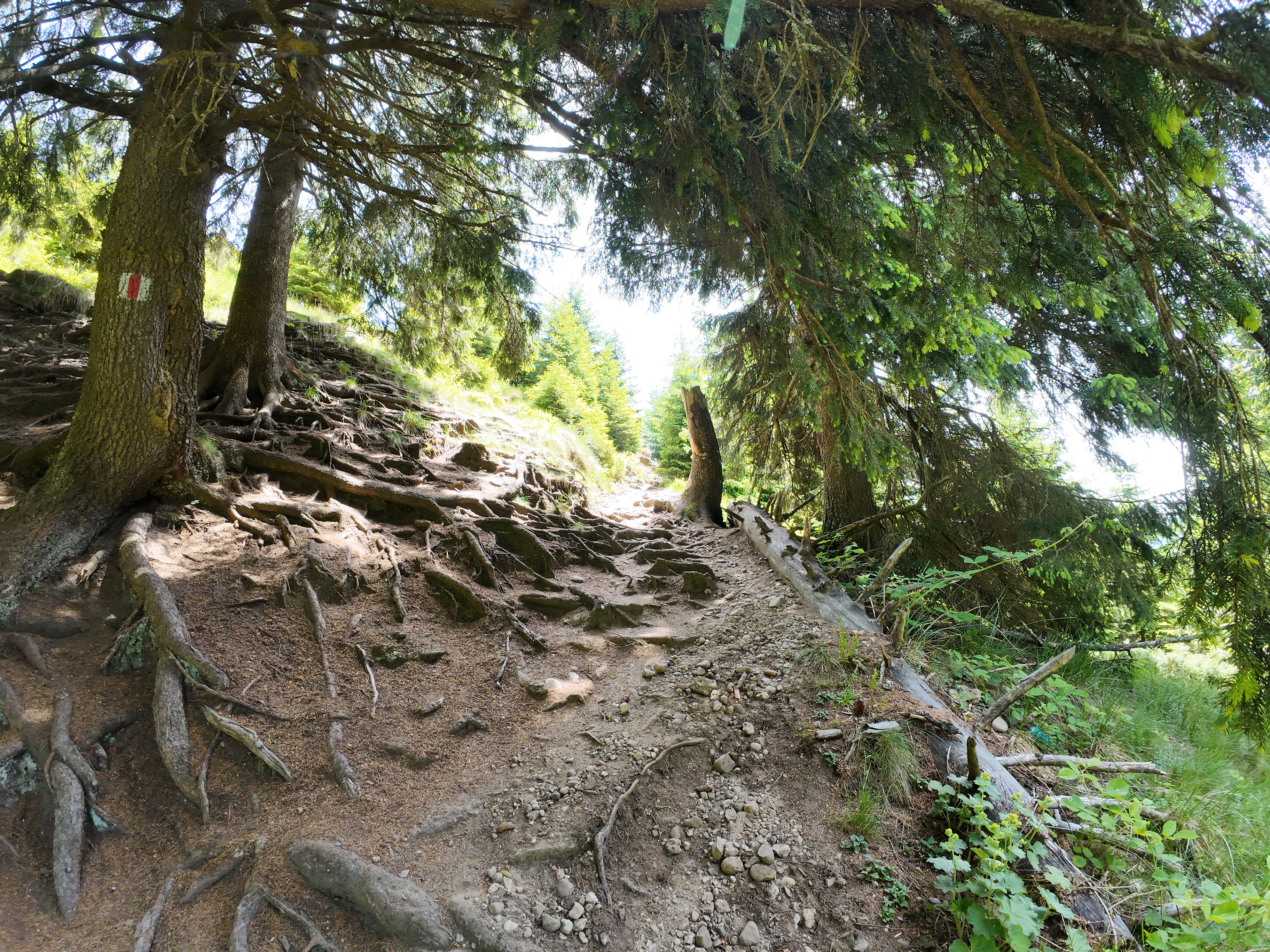 View this amazing photo of the next part of our trail to Sfinxul Bratocei